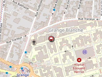 Carte de Elodie Rousset à Lyon