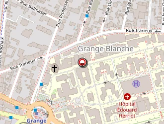 Carte de Crr à Lyon