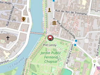 Carte de 1g Neo à Saintes