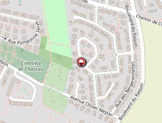 Carte de Tofanel à Chassieu