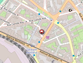 Carte de Maelyste à Lyon