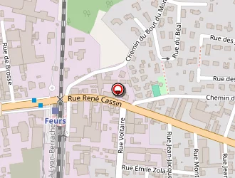 Carte de Euréa Services à Feurs