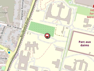 Carte de Chavanne Patrice à Lyon