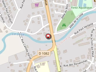 Carte de Noailly Bernard à Feurs