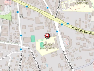 Carte de Delmas Jacques à Bron