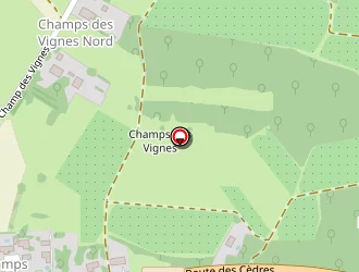 Carte de Sermat à Chaniers