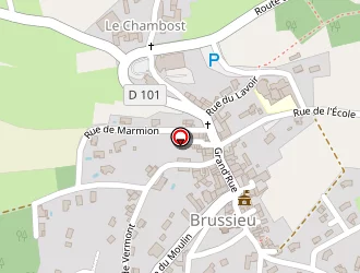 Carte de Fradin Alexandra à Brussieu