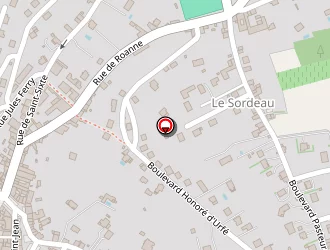 Carte de Optique Bellevue à Boën