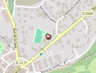 Carte de Teypaz Eric à Faverges