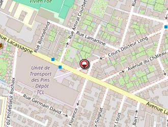 Carte de Ford Caillon Garage à Lyon