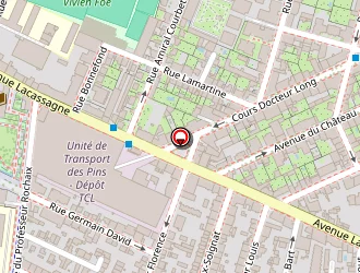 Carte de Panche Carole à Lyon