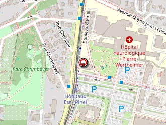 Carte de C.n.r.s (institut Des Sciences Cognitives) à Bron