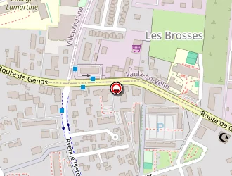 Carte de Mairie (services Municipaux) à Bron