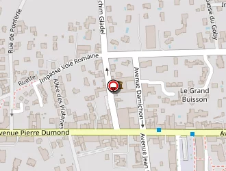 Carte de Berthoux Daniel à Craponne