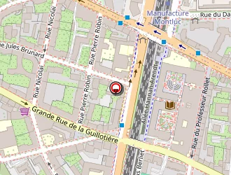 Carte de Festival Pizzas à Lyon