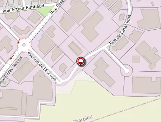 Carte de Cogem Decines à Décines-charpieu