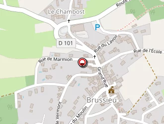 Carte de Desmet Florence à Brussieu