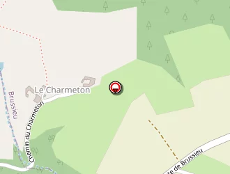 Carte de Chazallet Rémi à Brussieu