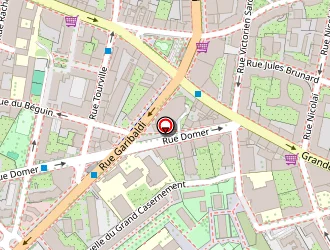 Carte de Bourg Jean Louis à Lyon