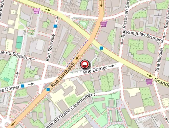 Carte de Proxigel à Lyon