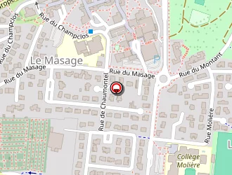 Carte de Rongier Vincent à Beaumont