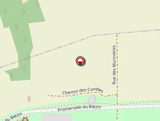 Carte de Soulas Patrick à Chassieu