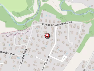 Carte de Fourrures Vidal à Craponne