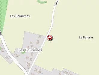 Carte de Neau Lionnel à Corme-royal