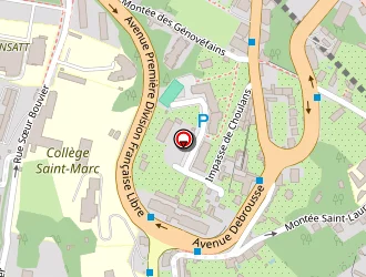 Carte de D'yvoire Bruno à Mulatière (la)