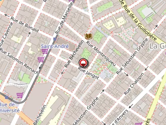 Carte de Triga Conseil à Lyon