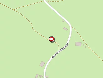 Carte de Bujon Yannick à Sauvagnat