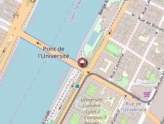 Carte de Le Charly Mary à Lyon