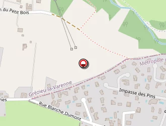 Carte de Clerc Michel à Craponne