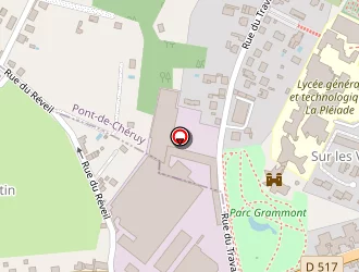 Carte de Randon Capucine à Pont-de-chéruy