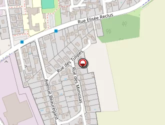 Carte de Sampaio Georges à Décines-charpieu