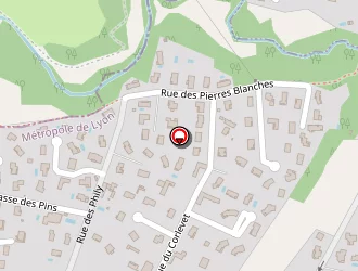 Carte de Alteos à Craponne