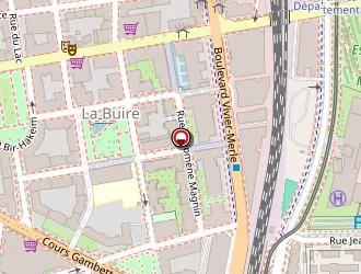 Carte de Chris Photoreportage à Lyon