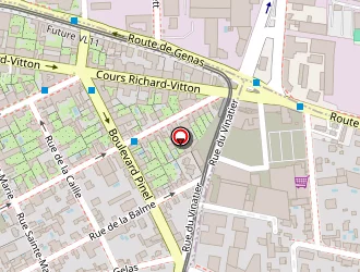 Carte de Duverne Sylvie à Bron