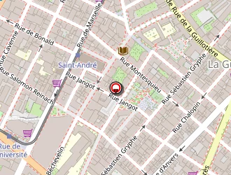 Carte de Miroslav Pilon à Lyon