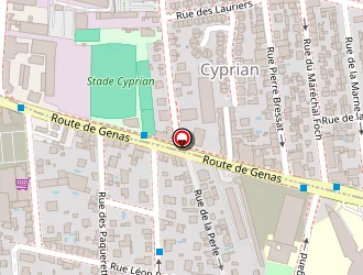 Carte de King Pneus à Bron