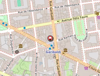 Carte de Verney Eric à Lyon