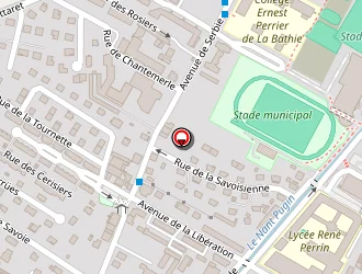 Carte de Di-siena Damien à Ugine