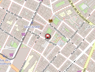 Carte de Pizzeria Le Stromboli à Lyon