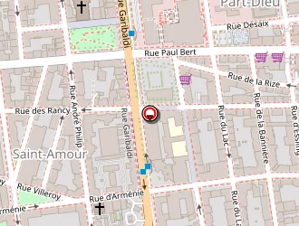 Carte de Géonomie à Lyon