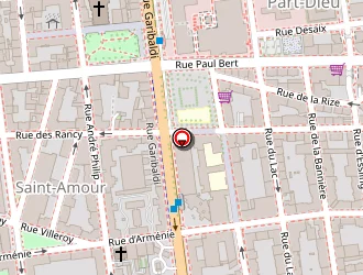 Carte de Froggy Art à Lyon