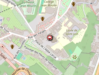 Carte de Instituto Cervantes à Lyon