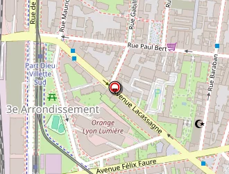 Carte de Taxi Rayane à Lyon