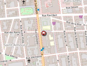 Carte de Acacias Fermetures à Lyon