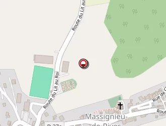 Carte de Da Silva Manuel à Massignieu-de-rives