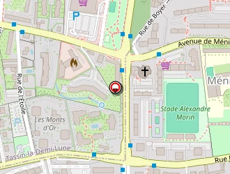 Carte de Laetitia Chassaing à Lyon